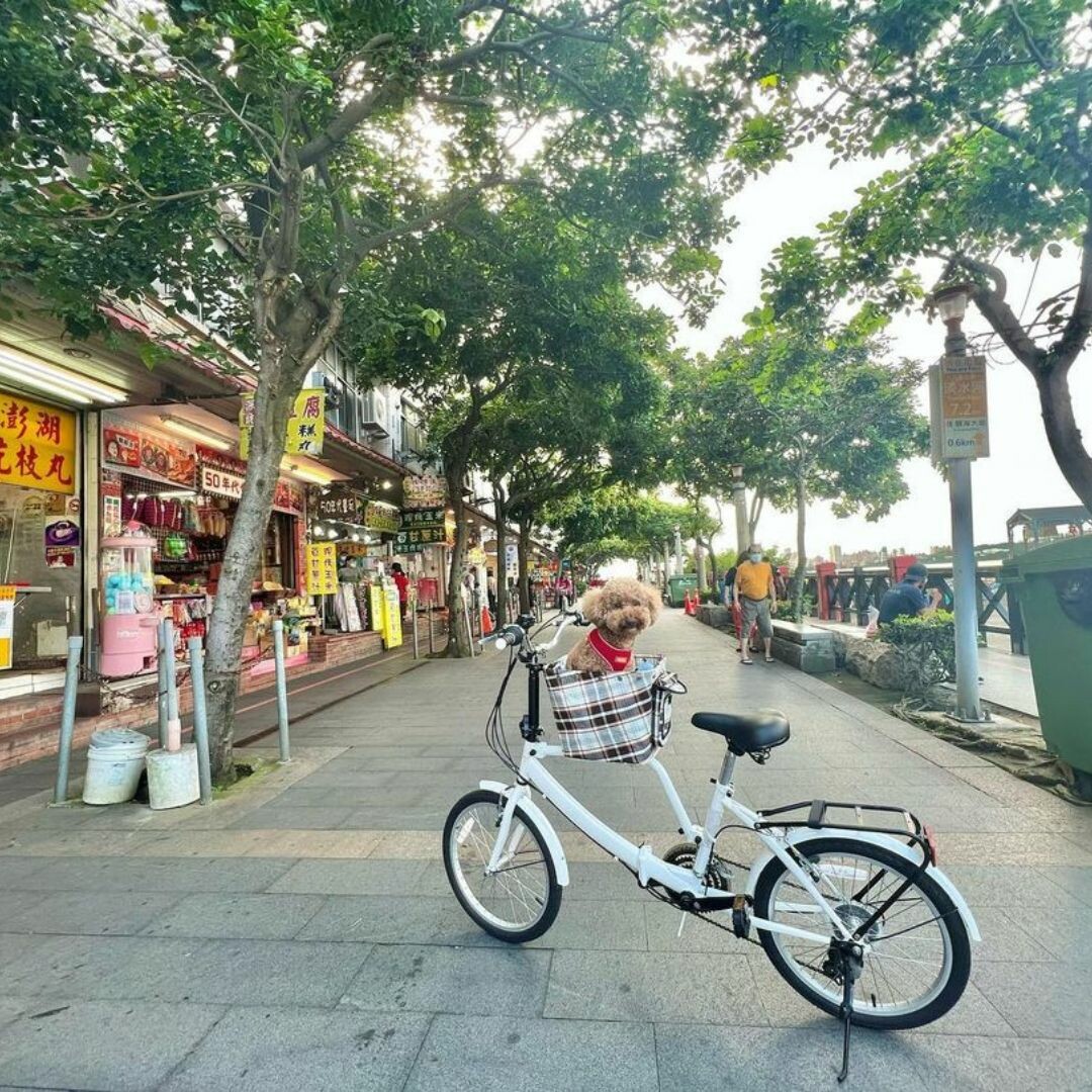 八里左岸自行車道:眺望淡水河風光 八里左岸自行車道:眺望淡水河風光