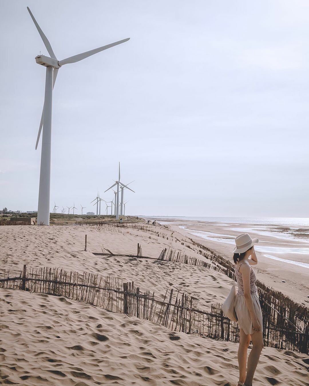 觀音草漯沙丘：台版撒哈拉沙漠