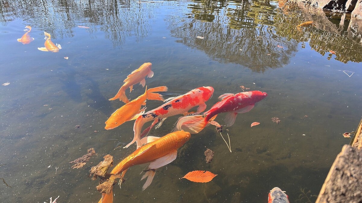 日本橋景點推薦：皇居東御苑