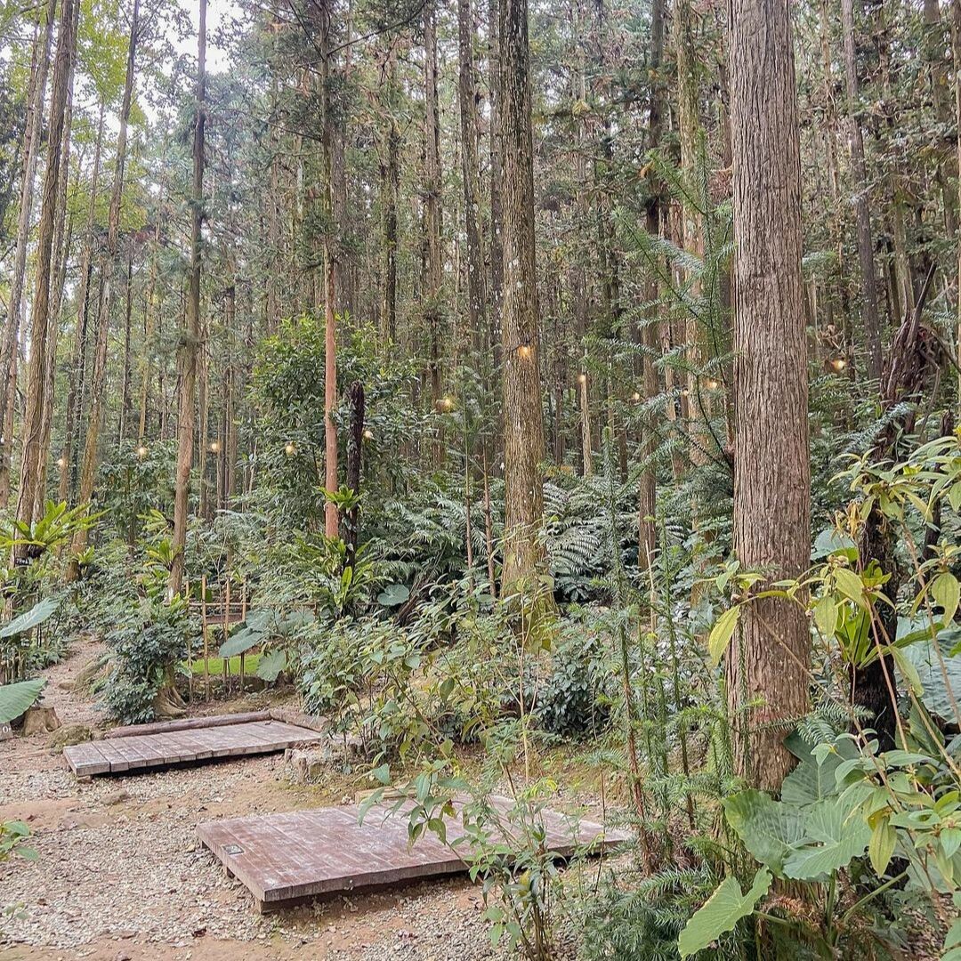 新竹北埔景點推薦：森窯 have a Picnic