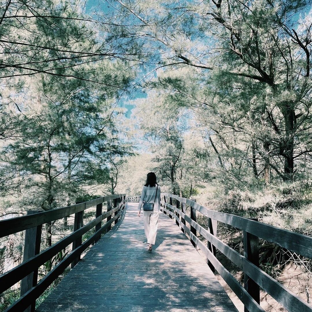 麟山鼻步道：到濱海步道散散步