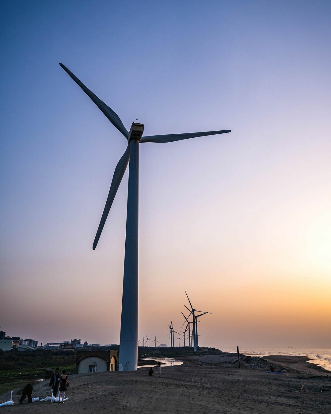 觀音草漯沙丘：台版撒哈拉沙漠