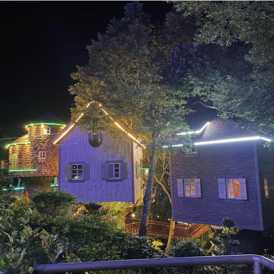 蘇維拉莊園：走入童話裡的精靈樹屋