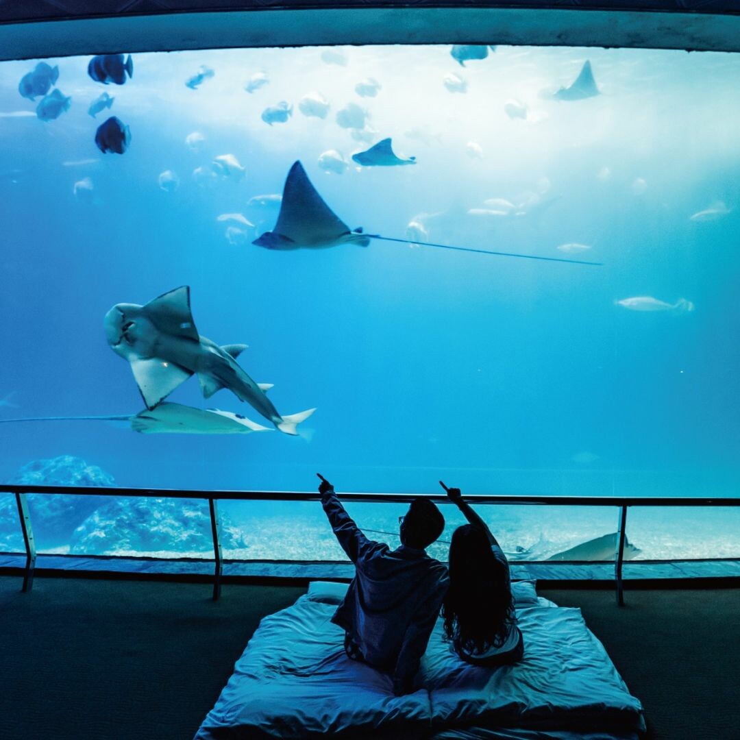 屏東國立海洋生物博物館