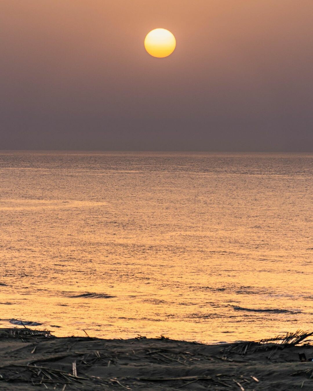 觀音草漯沙丘：台版撒哈拉沙漠