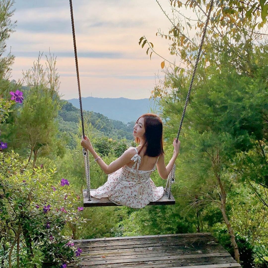 哈比丘茶樹森林：跟水豚君、笑笑羊近距離互動