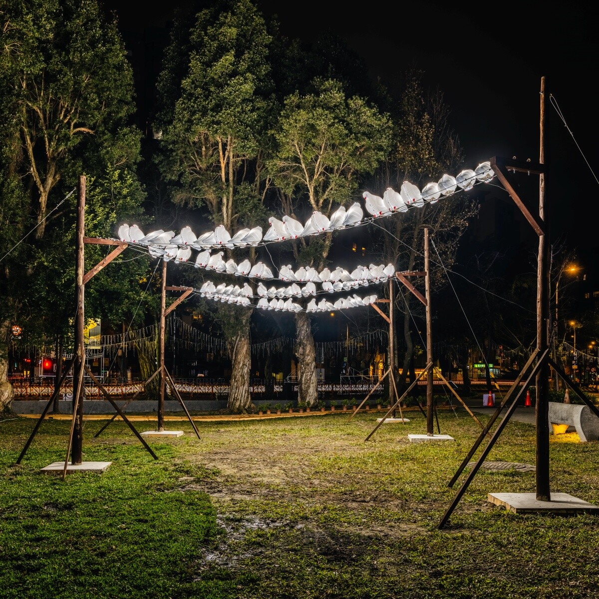 台灣燈會國父紀念館打卡推薦：浪的終點是白花