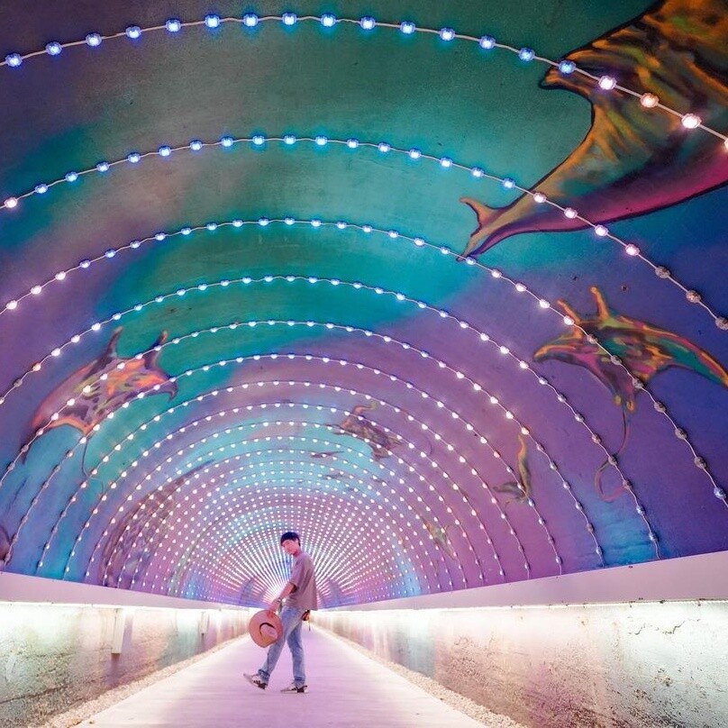 彷彿漫步海底世界：旗津星空隧道