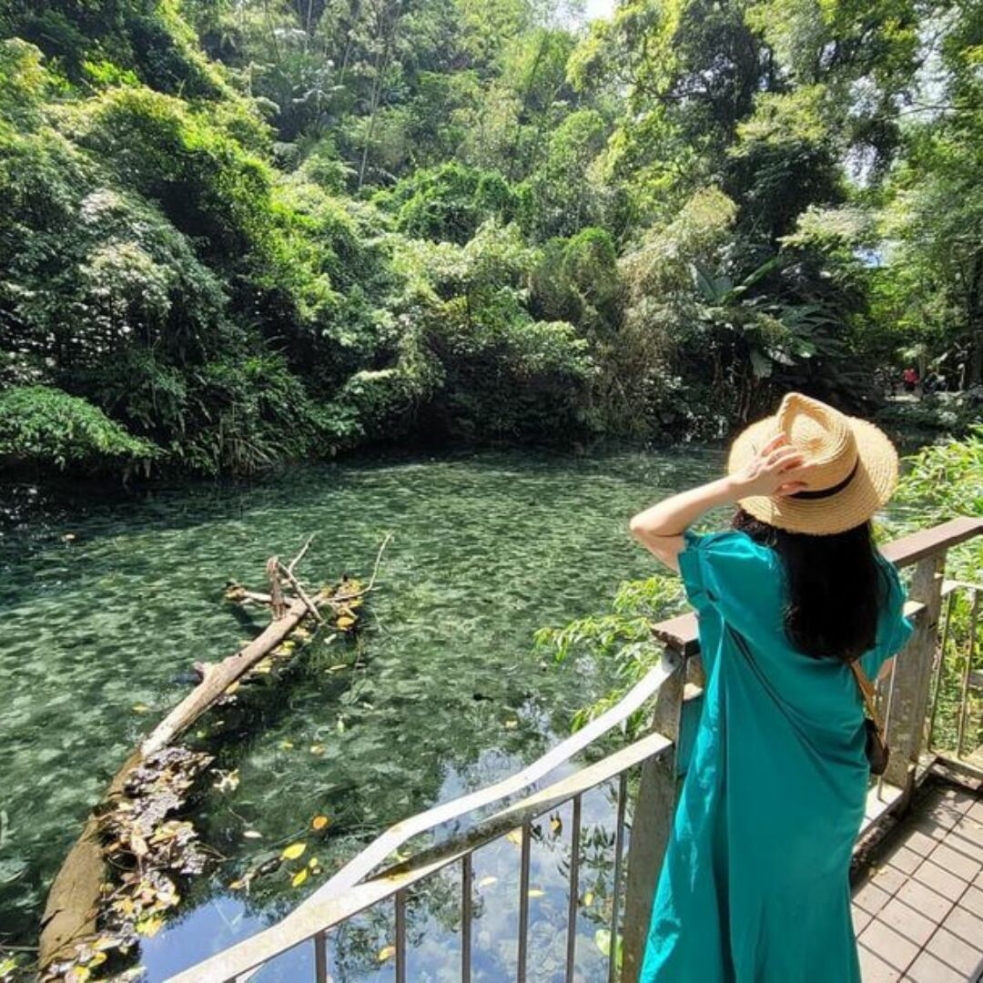 四十二份湧泉自然生態步道：仙境般的森林秘境
