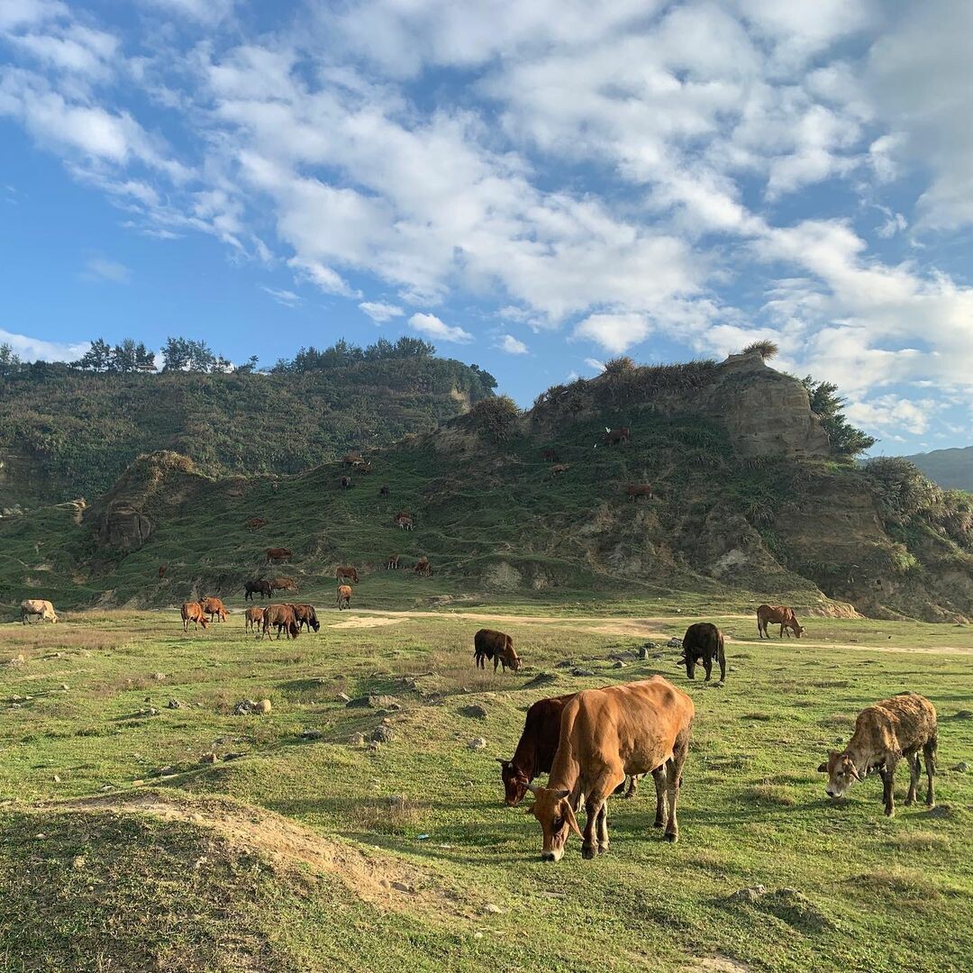 水牛坑越野場地：異國感美拍景點