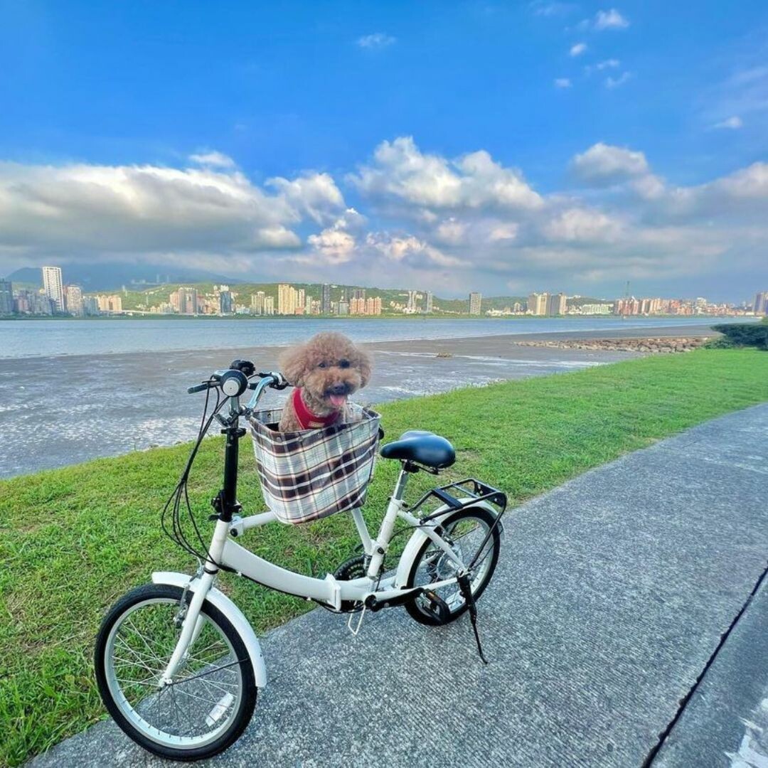 八里左岸自行車道:眺望淡水河風光 八里左岸自行車道:眺望淡水河風光