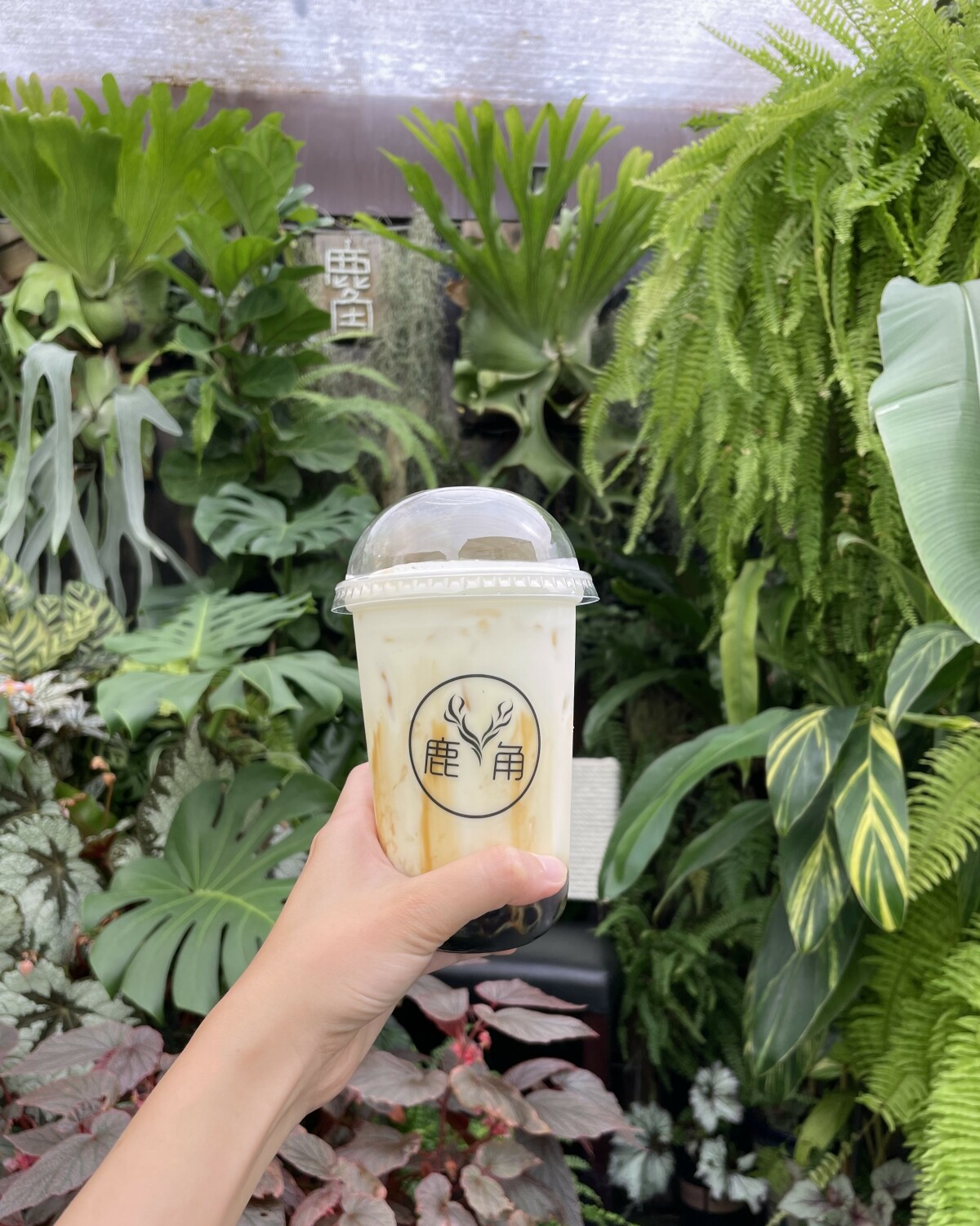 鹿角café:隱藏山林的植栽咖啡廳 鹿角café:隱藏山林的植栽咖啡廳