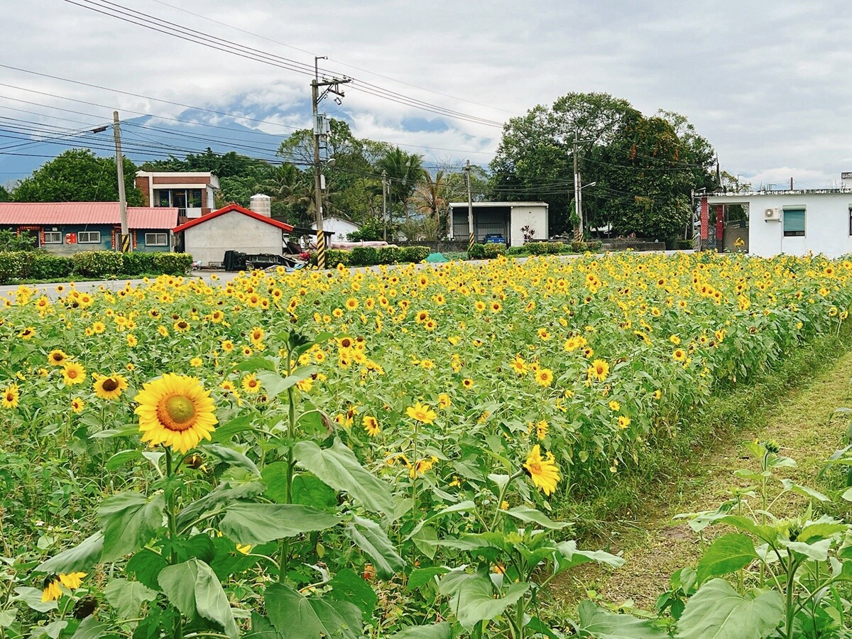 林田神社、菸樓，過去的遺跡仍存在