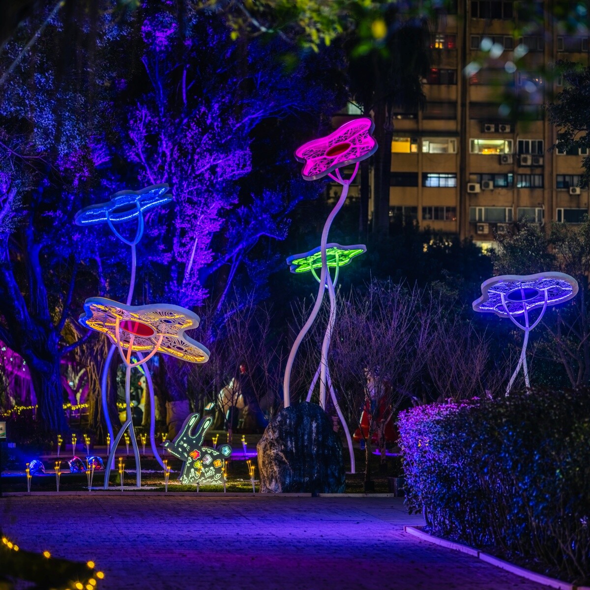 台灣燈會國父紀念館打卡推薦：向陽魔幻