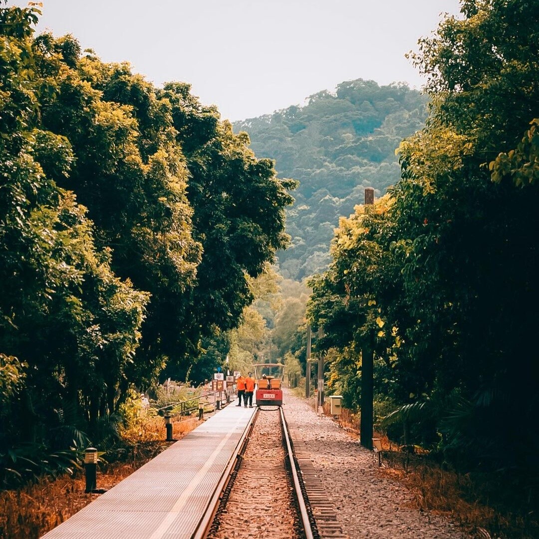 舊山線鐵道自行車:造訪龍騰斷橋秘境 舊山線鐵道自行車:造訪龍騰斷橋秘境