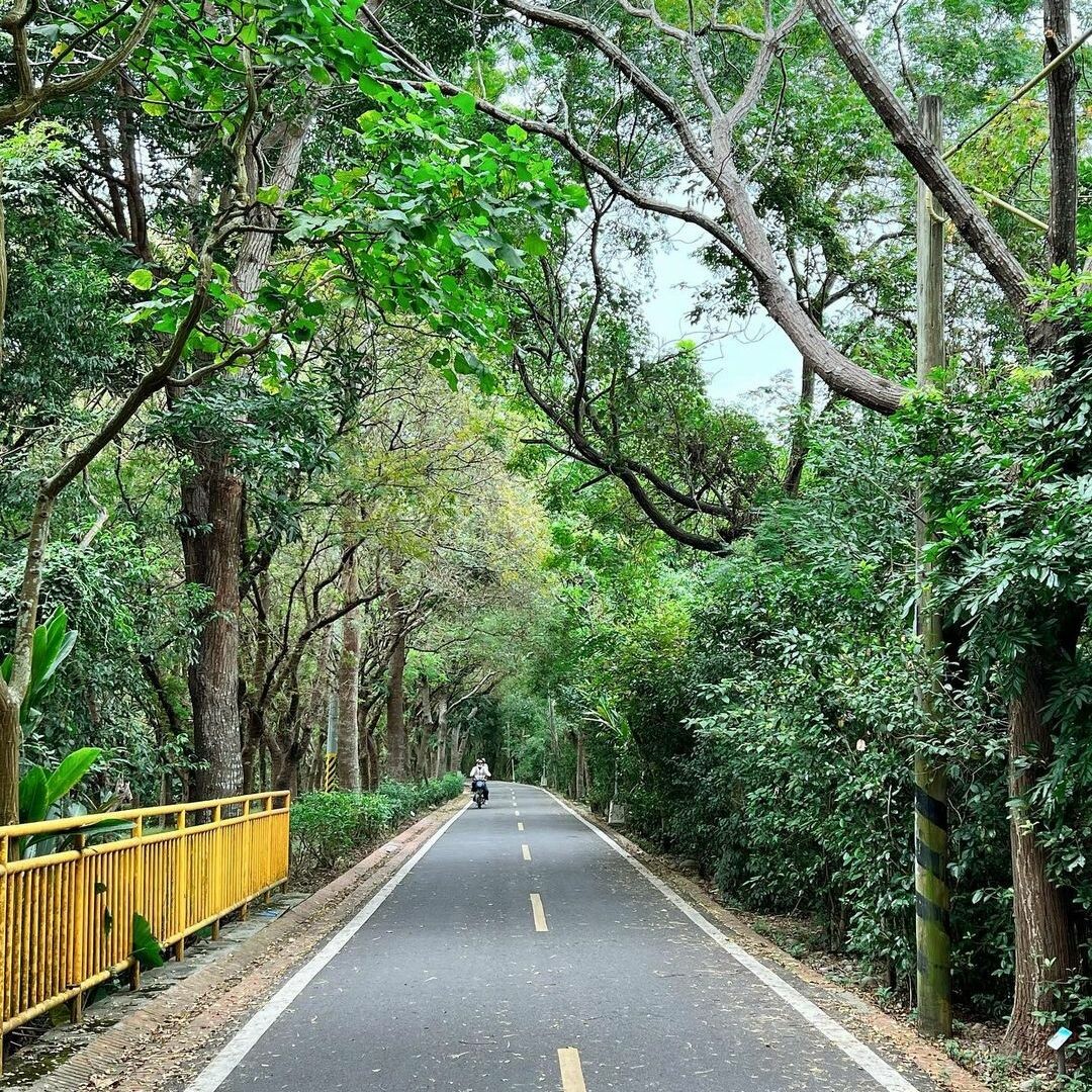 東勢景點推薦：東豐自行車道