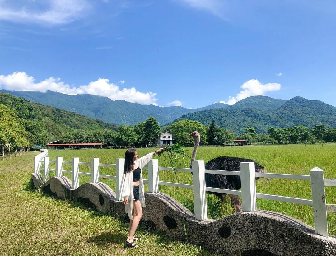 瑞穗牧場:品嚐鮮奶饅頭、冰淇淋 瑞穗牧場:品嚐鮮奶饅頭、冰淇淋
