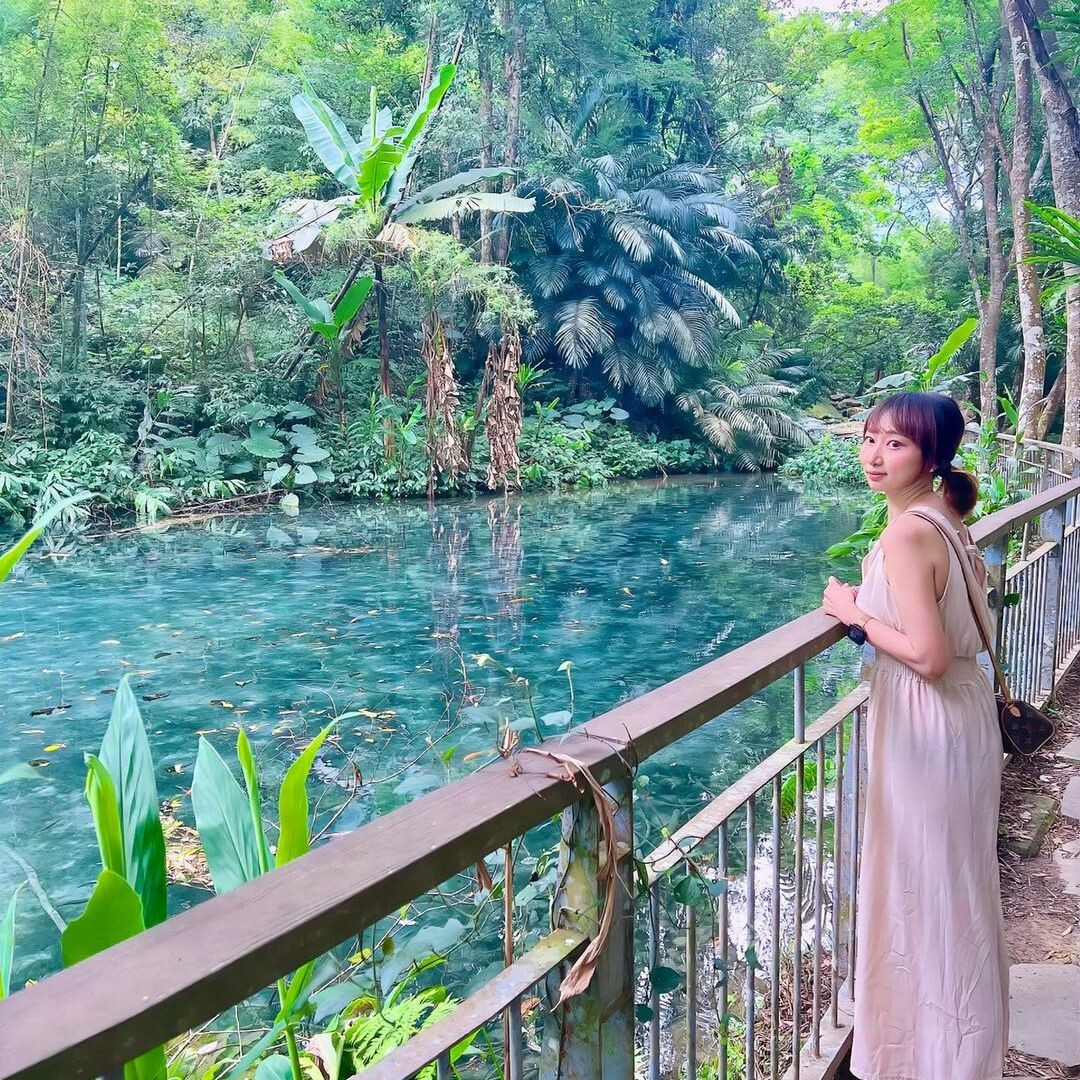 四十二份湧泉自然生態步道：仙境般的森林秘境