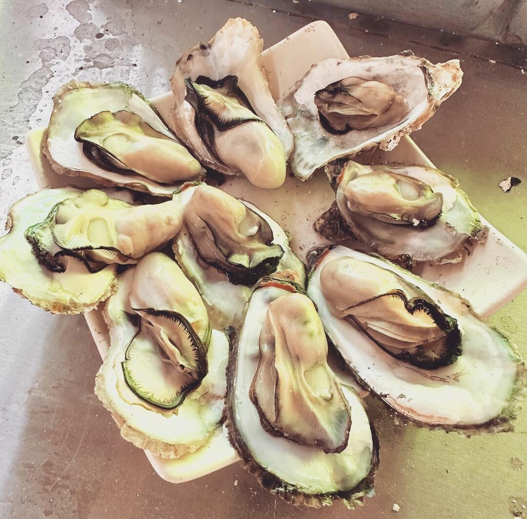 上蠔烤蚵吃到飽：必吃七股在地美食