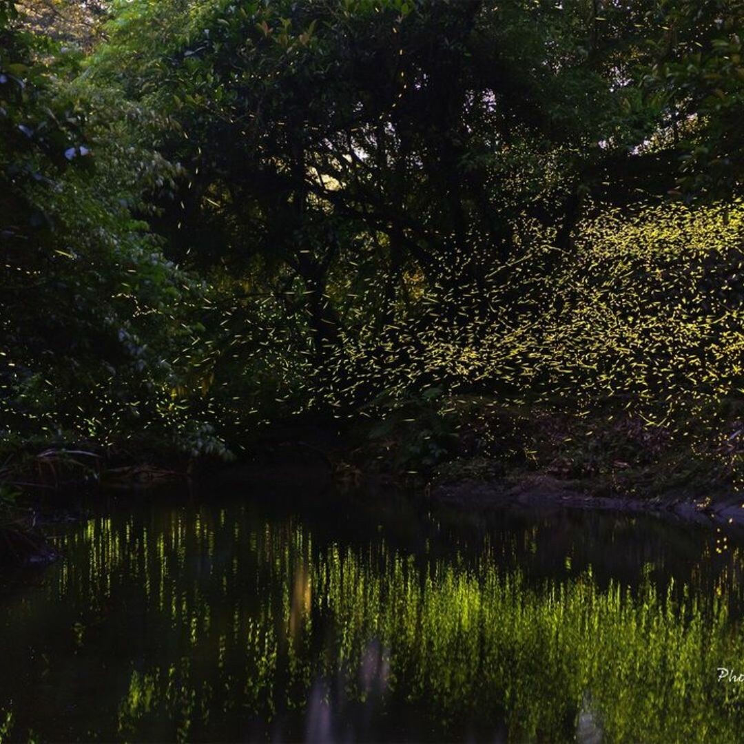 探索水簾秘境：望谷瀑布