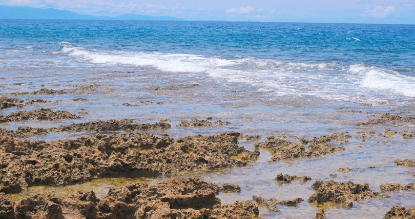 海子口漁港周邊