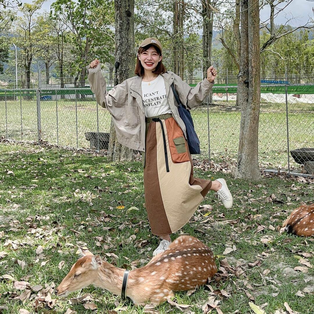 台東鹿野景點推薦：鹿野梅花鹿公園