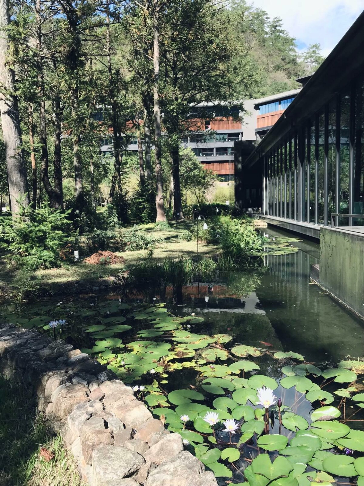 不砍一棵樹的「水之庭園」，彷彿行走在深林秘徑