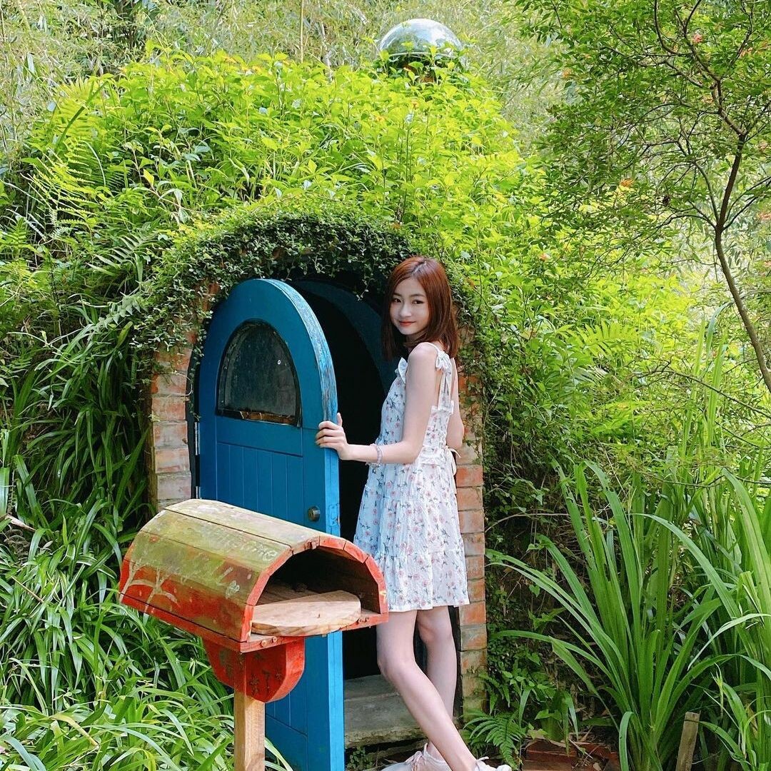 哈比丘茶樹森林：跟水豚君、笑笑羊近距離互動