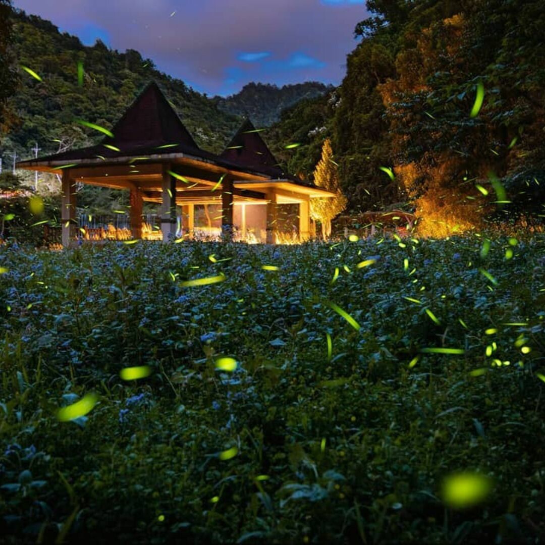 新竹北埔景點推薦：北埔冷泉