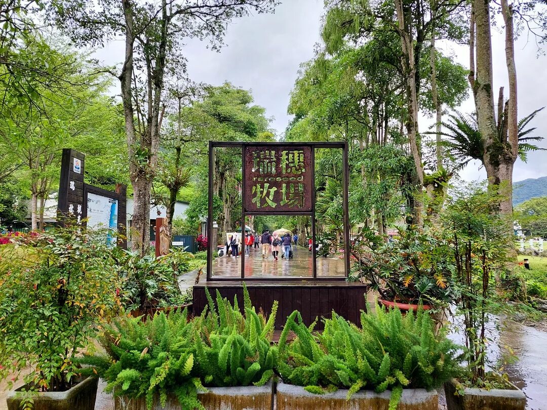 瑞穗牧場:品嚐鮮奶饅頭、冰淇淋 瑞穗牧場:品嚐鮮奶饅頭、冰淇淋